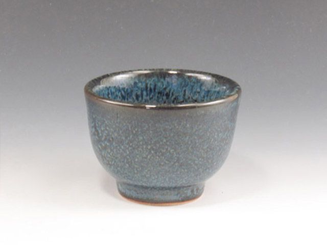Kasama-Yaki (Ibaraki) Otsu Koyo Gama Pottery Sake cup