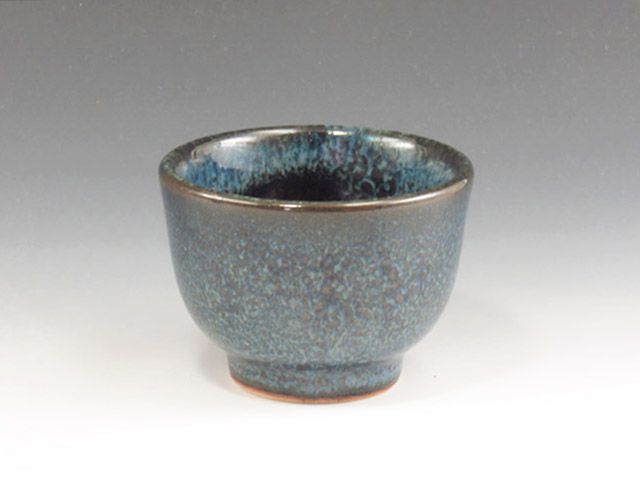 Kasama-Yaki (Ibaraki) Otsu Koyo Gama Pottery Sake cup