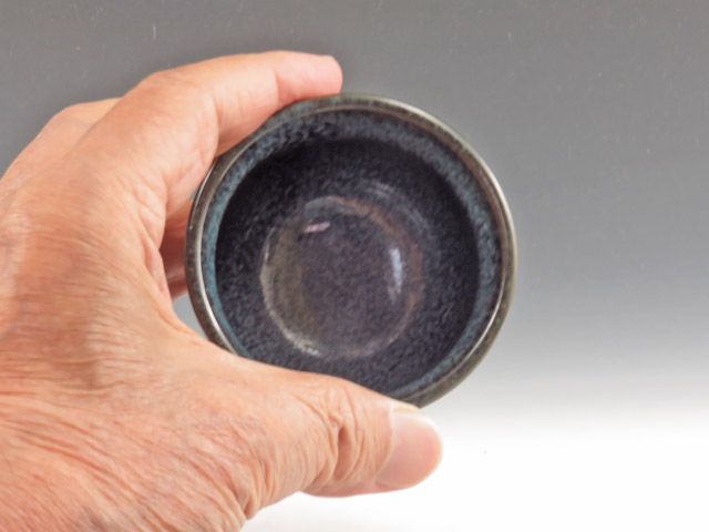 Kasama-Yaki (Ibaraki) Otsu Koyo Gama Pottery Sake cup